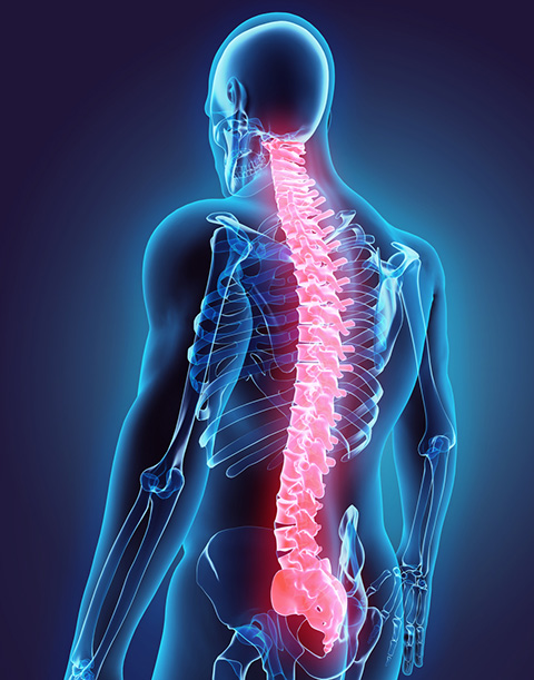 Spine Treatment