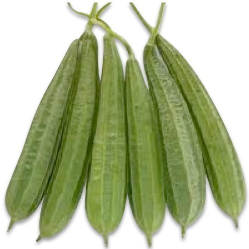 Sponge Gourd