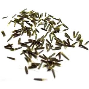 Stevia Seeds