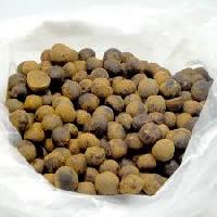 Tea Seed