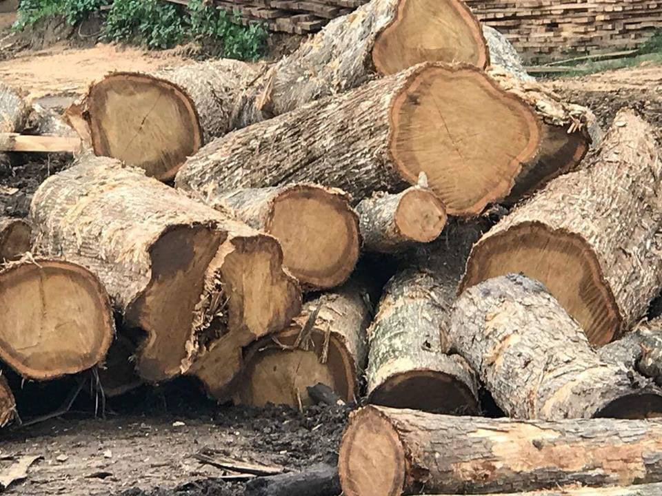 Round Logs