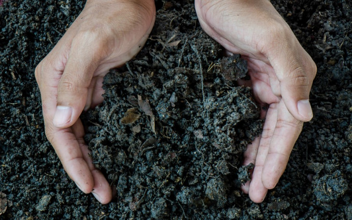 Fertilizer