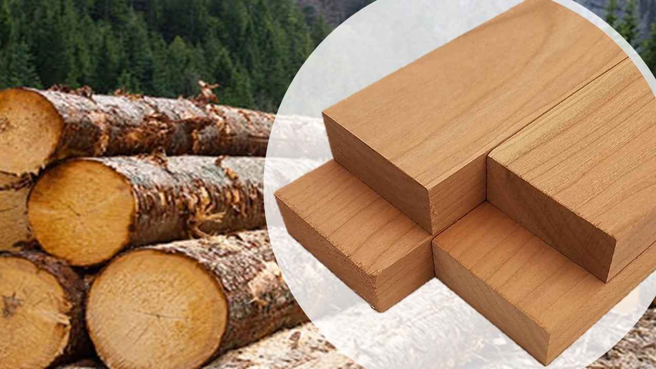 Timber