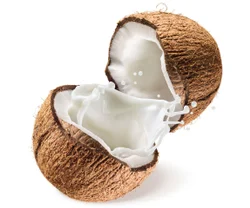 Coconut Flavor