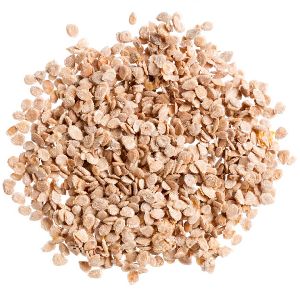 Hybrid Tomato Seeds