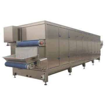 Tunnel Dryer