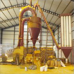 Turmeric Processing Plant