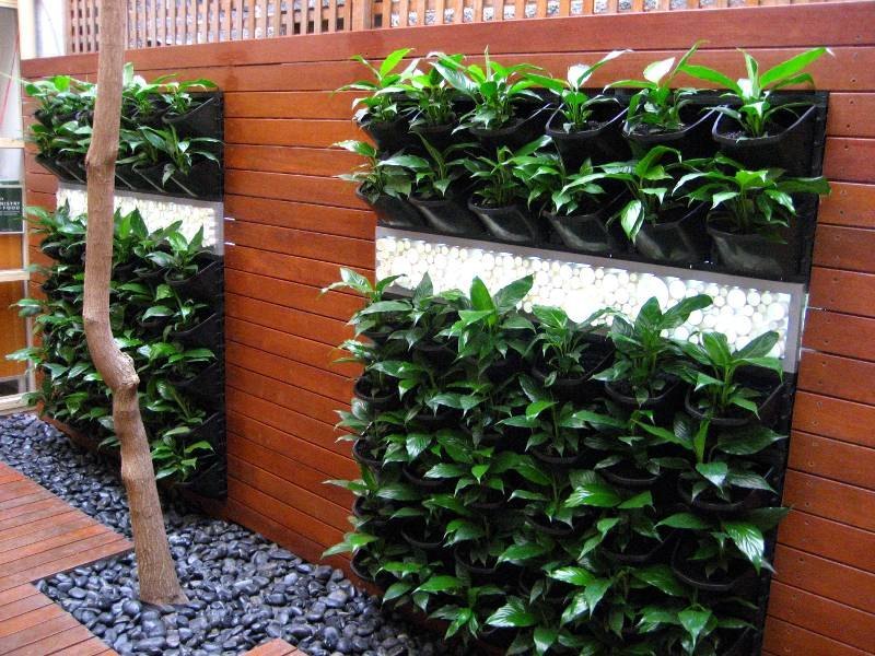 Vertical Garden Landscaping Services