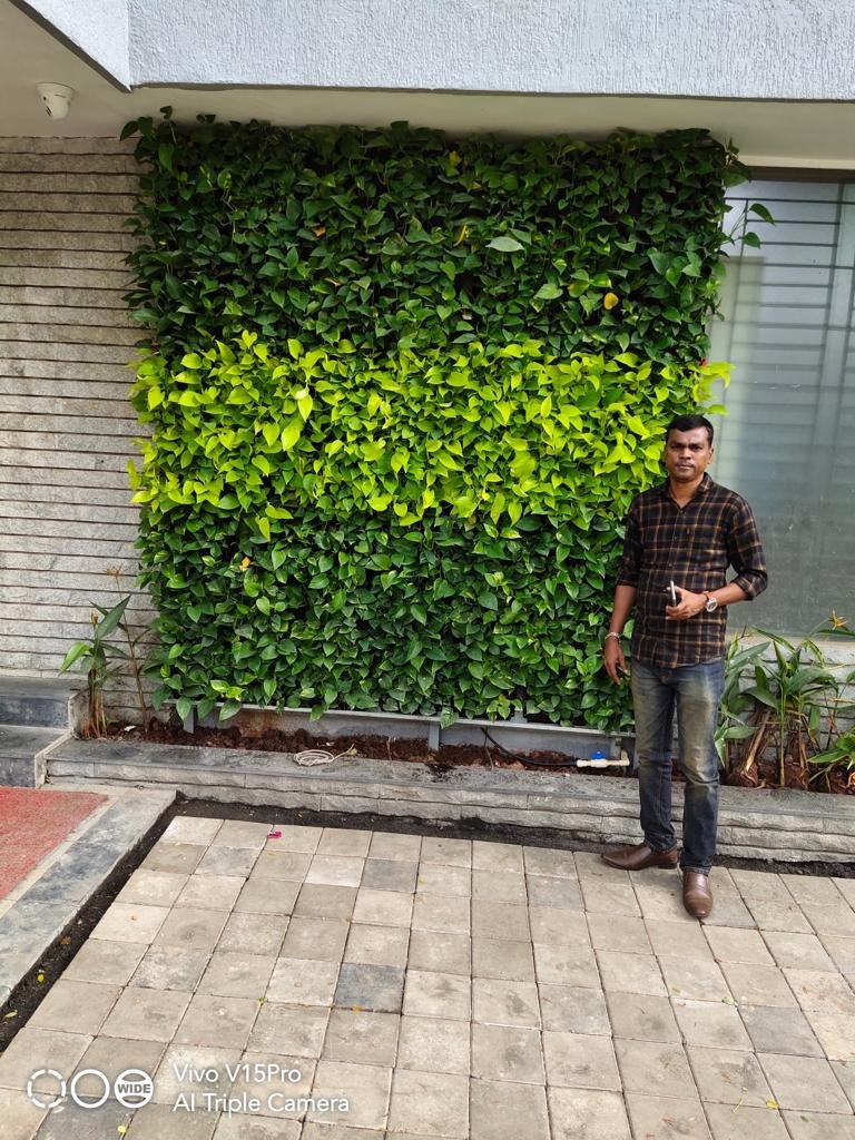 Vertical Gardening Services