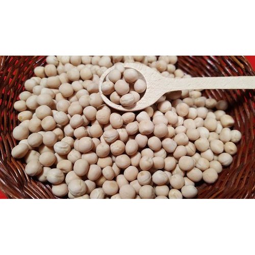 White Pea Bean