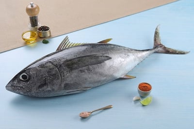 Tuna Fish