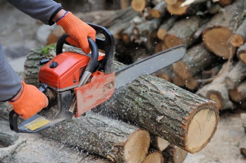 Petrol Chain Saw