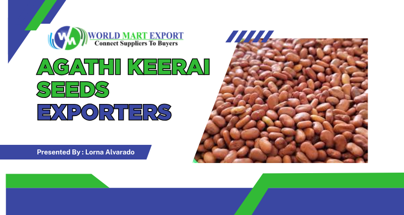 Top 5 Agathi Keerai Seeds Exporters in India - World Mart Export