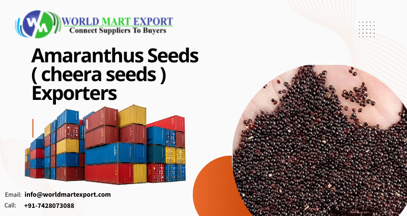 Top Amaranthus Seeds ( cheera seeds ) Exporters in India