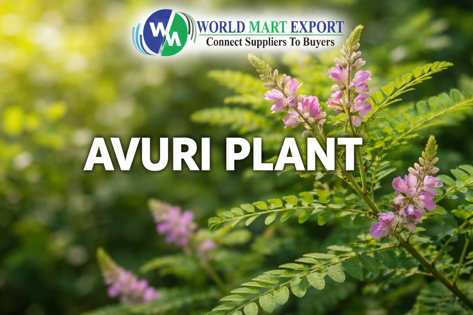 How to Identify and Grow the Avuri Plant: A Complete Botanical Guide