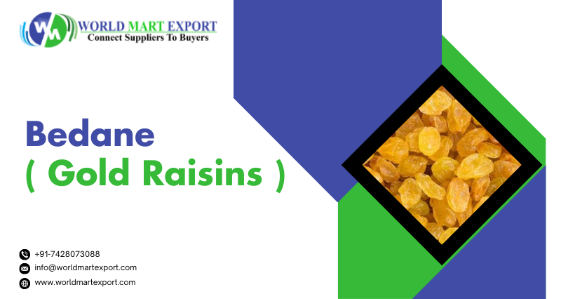 Top 3 Bedane (Gold Raisins) Exporters in India