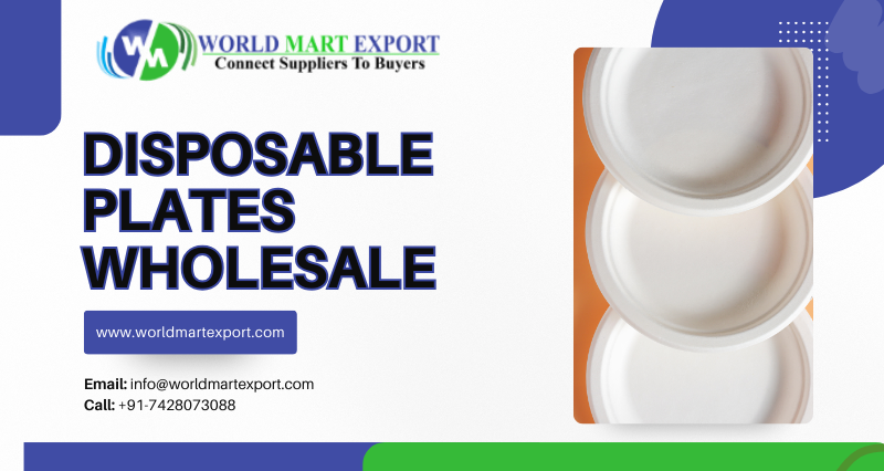 Top 5 Disposable Plates Wholesale in India