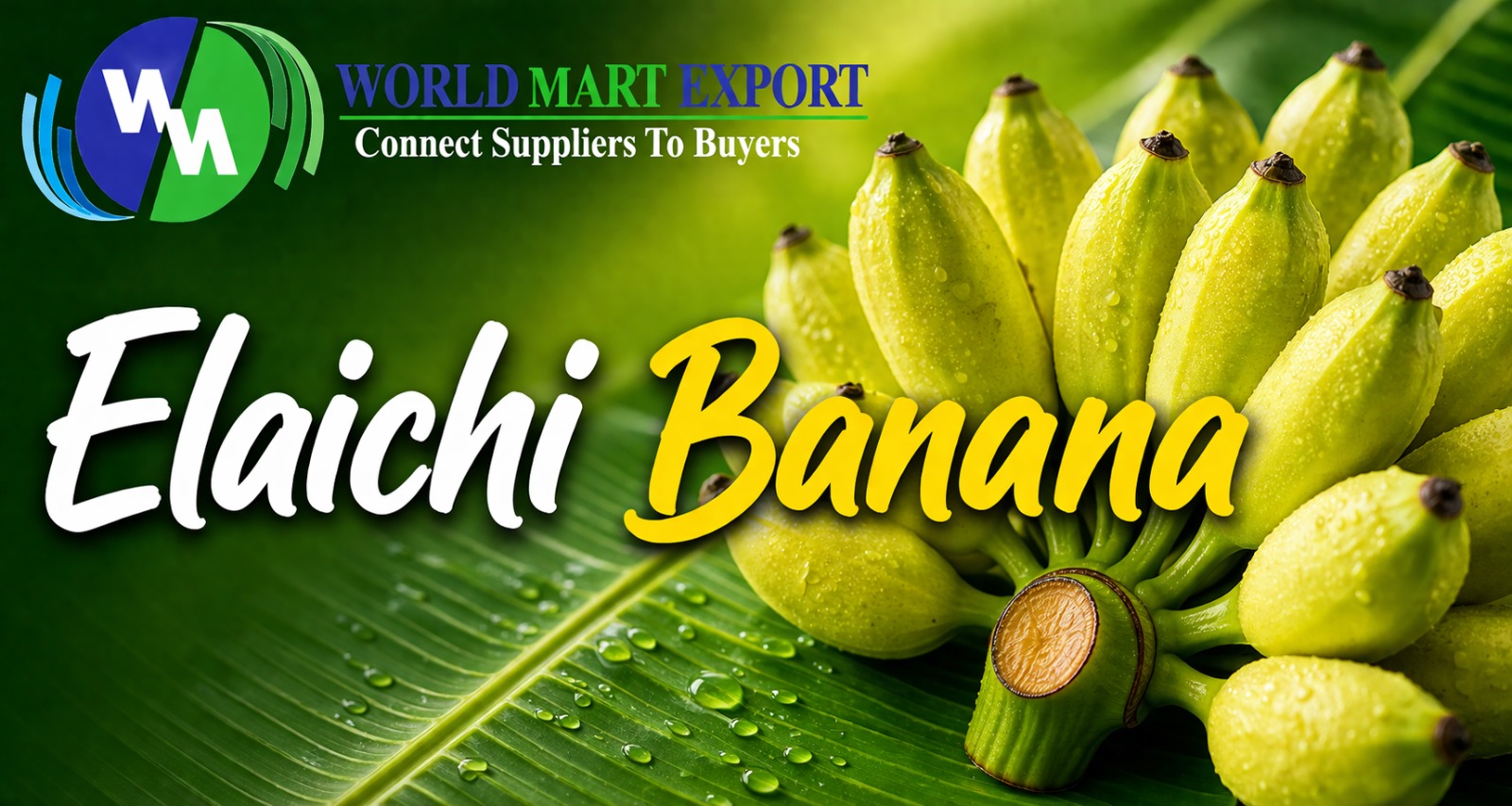 Elaichi Banana Benefits