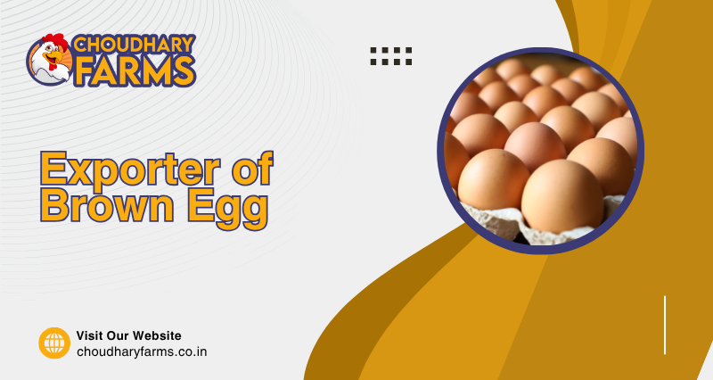 Exporter of Brown Egg in Kurukshetra, Haryana – CHOUDHARY FARMS