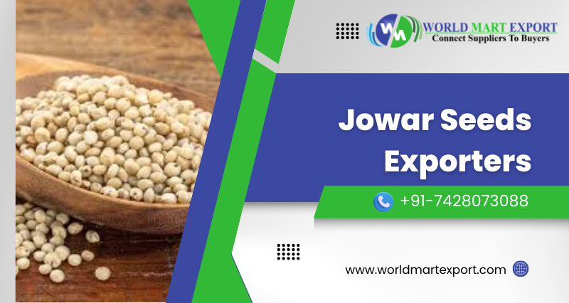 Biggest Jowar Seeds Exporters in Karnataka, India – V-Exports