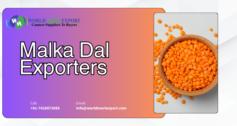 Top Malka Dal Exporter in Haryana – Classic Impex