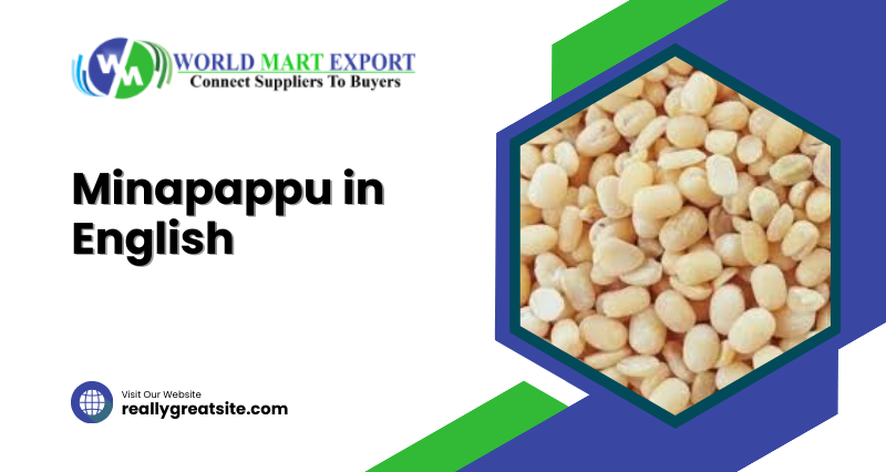 Sai Minapappu in English