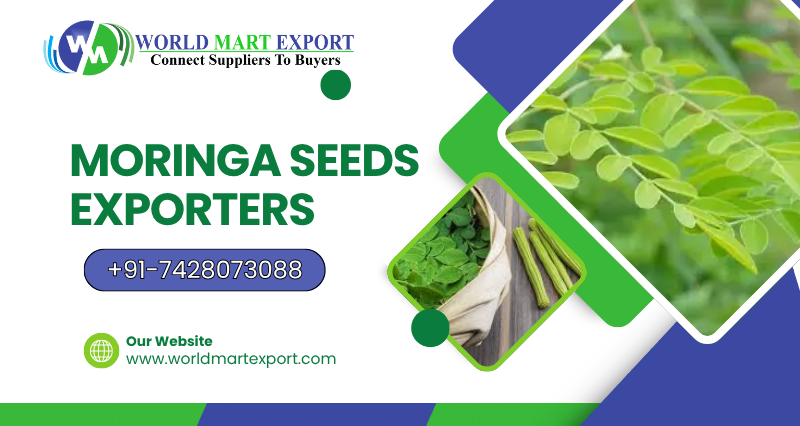 Top 5 Moringa Seeds Exporters in India