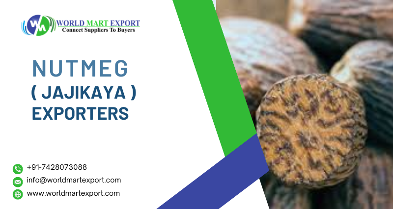 Top Nutmeg (Jajikaya) Exporters in India
