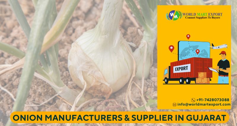Onion Manufacturers & Suppliers in Gujarat – Datar Exports