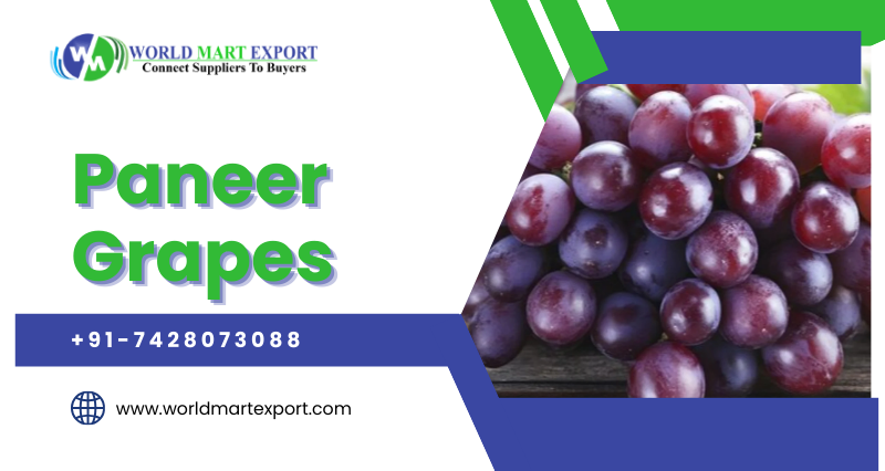 Top 5 Paneer Grapes Exporters in India