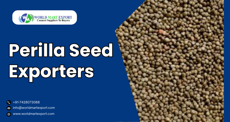 Top Perilla Seed (Bhang Jeera) Exporters in India