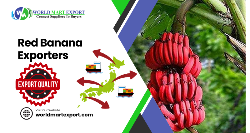 Top 5 Red Banana Exporters in India