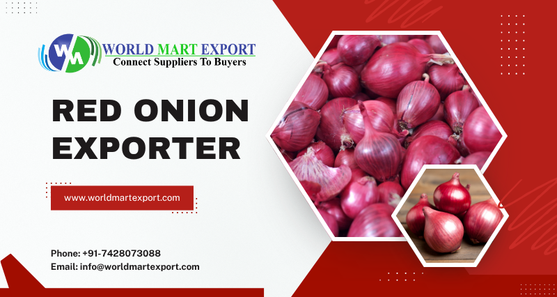 Top 5 Fresh Red Onion Exporters in India
