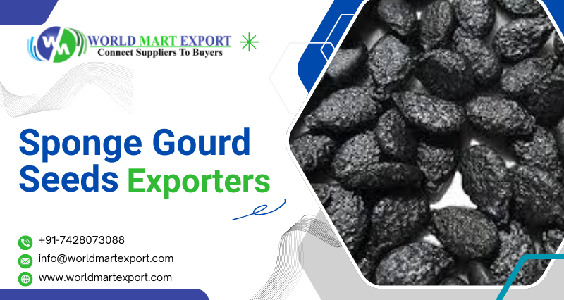 Largest Sponge Gourd Seeds Exporters in India