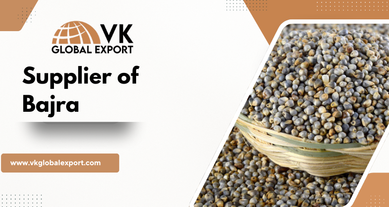 Top Supplier of Bajra in India – VK Global Export