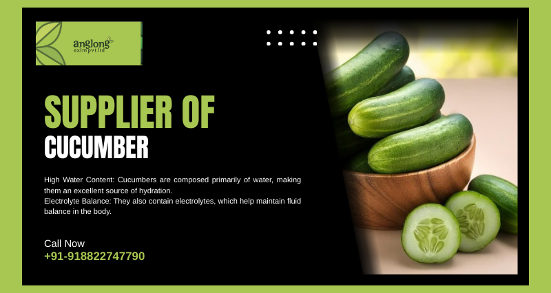 Top Supplier of Cucumber in Assam, India – Anglong Exim Pvt Ltd