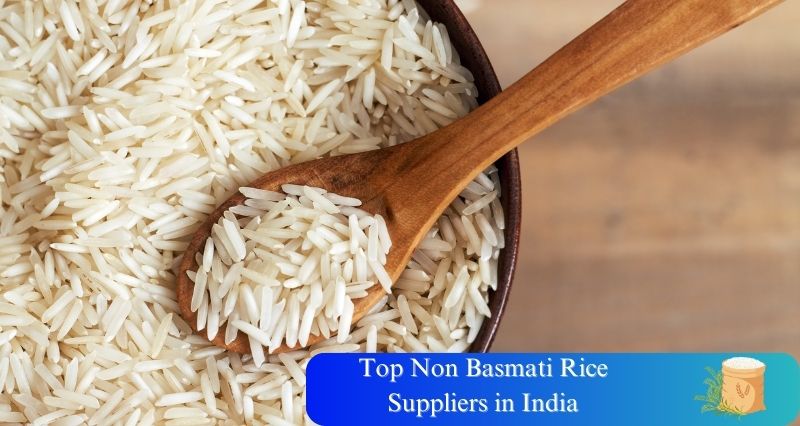 Top 3 Basmati Rice Exporters Company in India