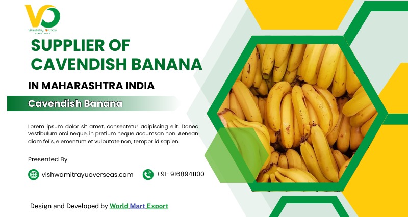 Top Supplier of Cavendish Banana in Maharashtra, India – Vishwamitrayu Overseas (OPC) Private Limite