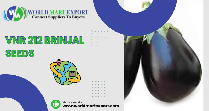 VNR 212 Brinjal Seeds: Benefits, Uses, Growing Guide & Advantages