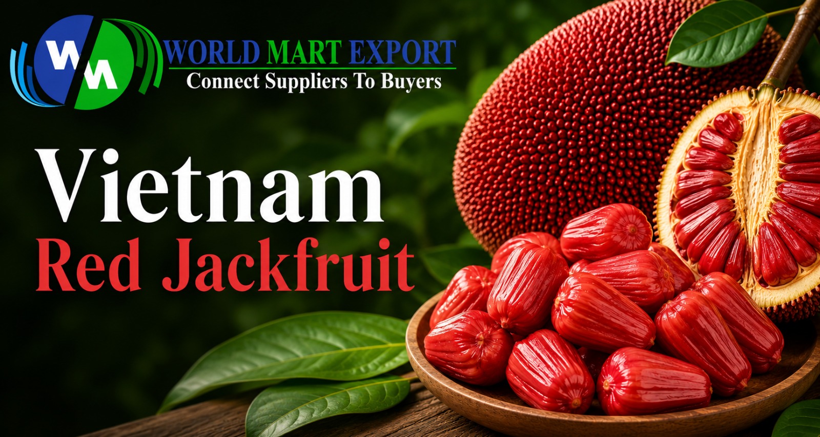 Vietnam Red Jackfruit Guide: Grow the 'Super Early' Red Variety in 2026