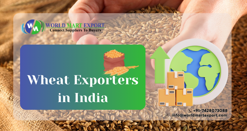 Top 4 Wheat Exporters in India